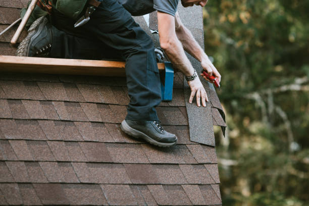 Best Roof Gutter Cleaning  in Centreville, AL