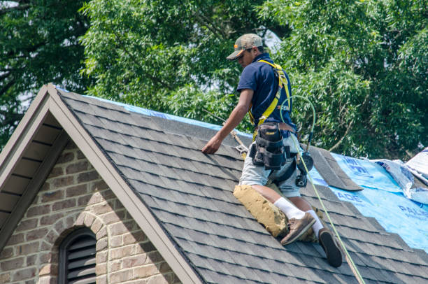 Quick and Trustworthy Emergency Roof Repair Services in Centreville, AL